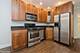 1135 W Grace Unit 1N, Chicago, IL 60613