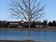 21220 Barth Pond, Crest Hill, IL 60403