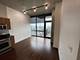 235 W Van Buren Unit 3804, Chicago, IL 60607