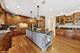 4805 Woodland, Western Springs, IL 60558