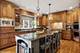4805 Woodland, Western Springs, IL 60558