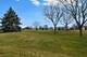 13824 S Balsam Unit D, Plainfield, IL 60544