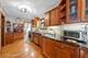 1120 N Harvey, Oak Park, IL 60302