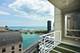 250 E Pearson Unit 3306, Chicago, IL 60611