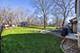 619 Scott, Algonquin, IL 60102
