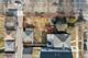5158 N Keeler, Chicago, IL 60630