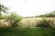 1078 N Claremont, Palatine, IL 60074