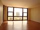 2605 S Indiana Unit 1008, Chicago, IL 60616