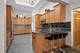 1660 Tower Hill, Woodridge, IL 60517