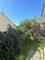 9220 S King, Chicago, IL 60619