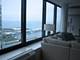 155 N Harbor Unit 5207, Chicago, IL 60601
