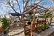 115 Oakwood, Des Plaines, IL 60016