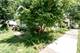 719 Singer, Lemont, IL 60439