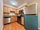 1415 W Lunt Unit 304, Chicago, IL 60626