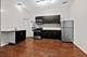 4608 S Evans Unit 1, Chicago, IL 60653