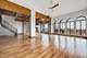 707 W Junior Unit PH-12, Chicago, IL 60613