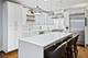 1545 W School Unit 1, Chicago, IL 60657