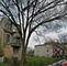 4403 S Oakenwald, Chicago, IL 60653