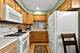 706 N Western Unit B, Park Ridge, IL 60068