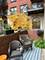 1439 S Michigan Unit 107, Chicago, IL 60605