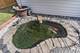 934 Cass, Elk Grove Village, IL 60007