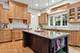 690 Wingate, Glen Ellyn, IL 60137