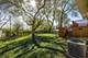 311 Kirman, Romeoville, IL 60446