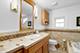 7135 N Mankato, Chicago, IL 60646