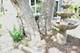 2204 Beach, Fox River Grove, IL 60021