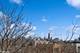 848 N Marshfield Unit 3, Chicago, IL 60622