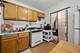 4838 W Henderson Unit 1A, Chicago, IL 60641