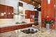 411 W Ontario Unit 502, Chicago, IL 60654