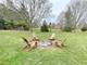39W440 Abbey Glen, St. Charles, IL 60175