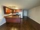 5436 S Indiana Unit 1, Chicago, IL 60615