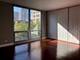 21 W Goethe Unit 7L, Chicago, IL 60610