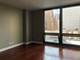 21 W Goethe Unit 7L, Chicago, IL 60610