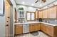 637 S Scoville, Oak Park, IL 60304