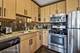 6140 N Hamilton Unit 2S, Chicago, IL 60659