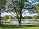 21316 W Juniper Unit 0, Plainfield, IL 60544