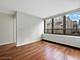 222 E Pearson Unit 804, Chicago, IL 60611