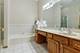 1351 Chestnut Crossing, Lemont, IL 60439