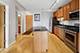 1250 S Indiana Unit 903, Chicago, IL 60605
