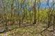1630 Myrtle  Park, Roselle, IL 60172