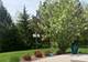 643 Samantha, Geneva, IL 60134