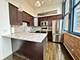 124 W Polk Unit 307, Chicago, IL 60605