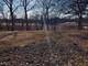 156 113th, Orland Park, IL 60467
