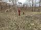 0000 W Waterford, Manhattan, IL 60442