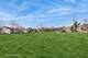 203 W Hamilton, Palatine, IL 60067