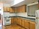 3228 S Carpenter Unit 1, Chicago, IL 60608