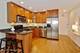 2036 N Larrabee Unit 8206, Chicago, IL 60614